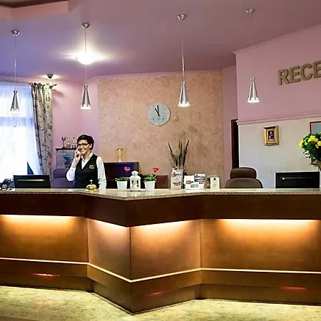 Hotel Hotel Zawiercie 4*